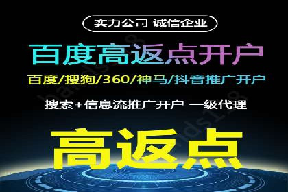 SEO与SEM优化案例：打造行业领先品牌