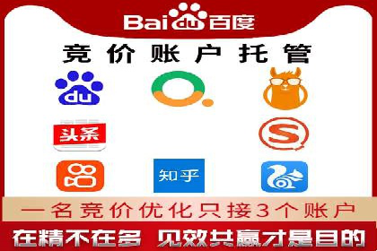 揭秘SEM代运营的成功要素与策略